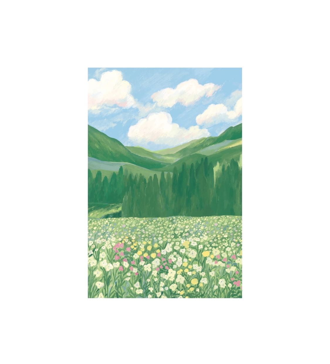 Postcard  Rain forest