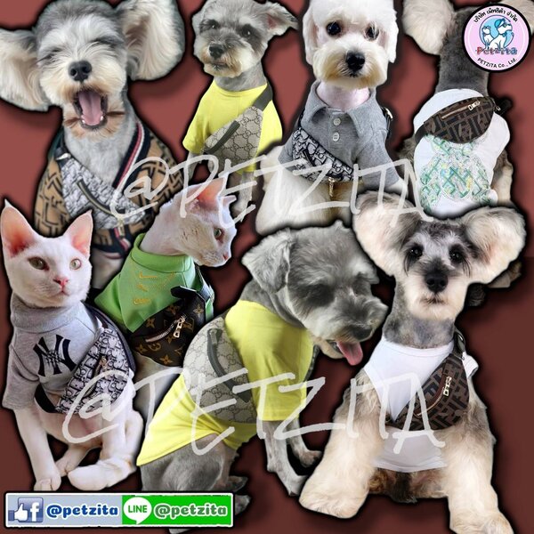 🇹🇭พร้อมส่ง🇹🇭 กระเป๋าคาดอกแฟชั่น ลายแ บ ร นด์ สุดหรูสุดเท่ห์ for pet กระเป๋าสุนัข กระเป๋าแมว