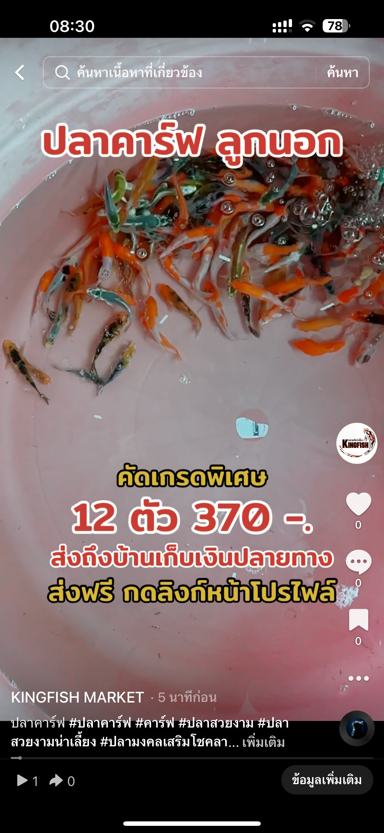 ปลาคาร์ฟ คัดเกรด ลูกนอก 3 นิ้ว 12 ตัว 370 บาท