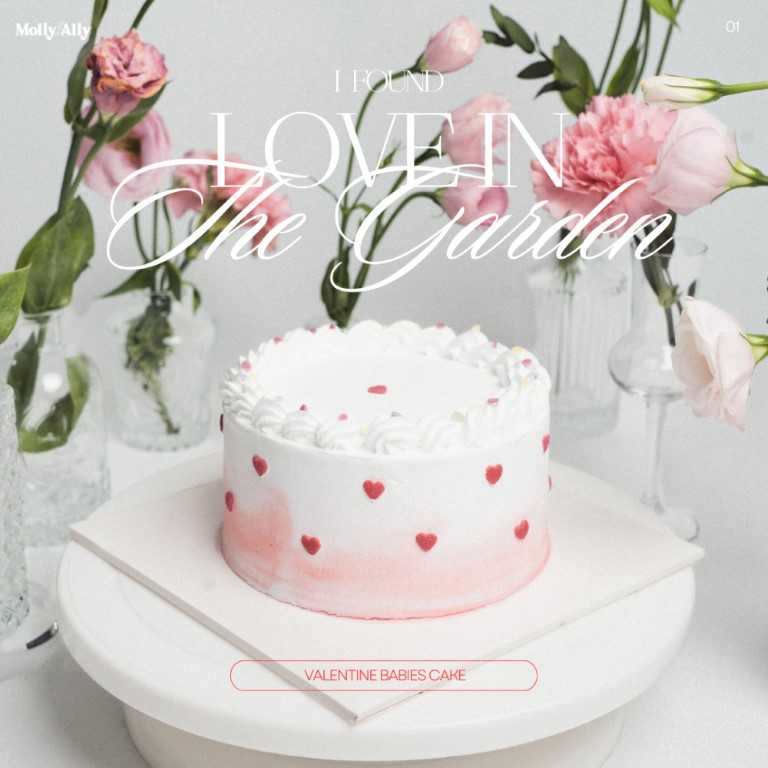 (Ice-cream Cake) 🎀 Teddy Strawberry Cake