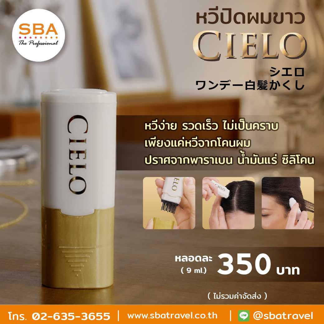 Hoyu Cielo Hair Color Comb หวีปิดผมขาวแบบเร่งด่วน ล้างออกได้ / มีให้เลือก 3 สี