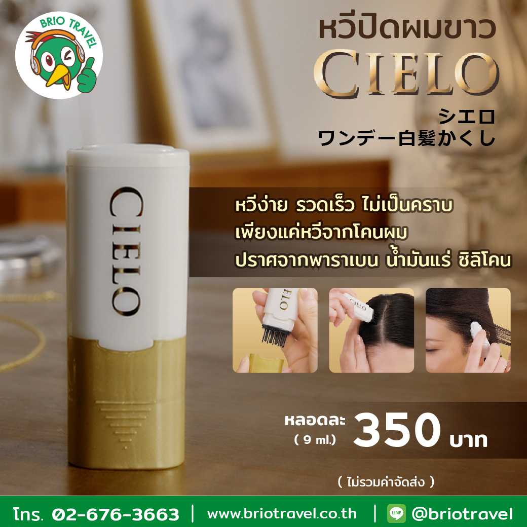 Hoyu Cielo Hair Color Comb หวีปิดผมขาวแบบเร่งด่วน ล้างออกได้ / มีให้เลือก 3 สี