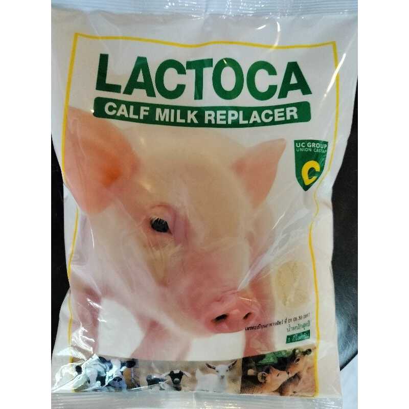 Lactoca milk replacer ขนาด 1 kg อาหารแทนนมสำหรับสัตว์