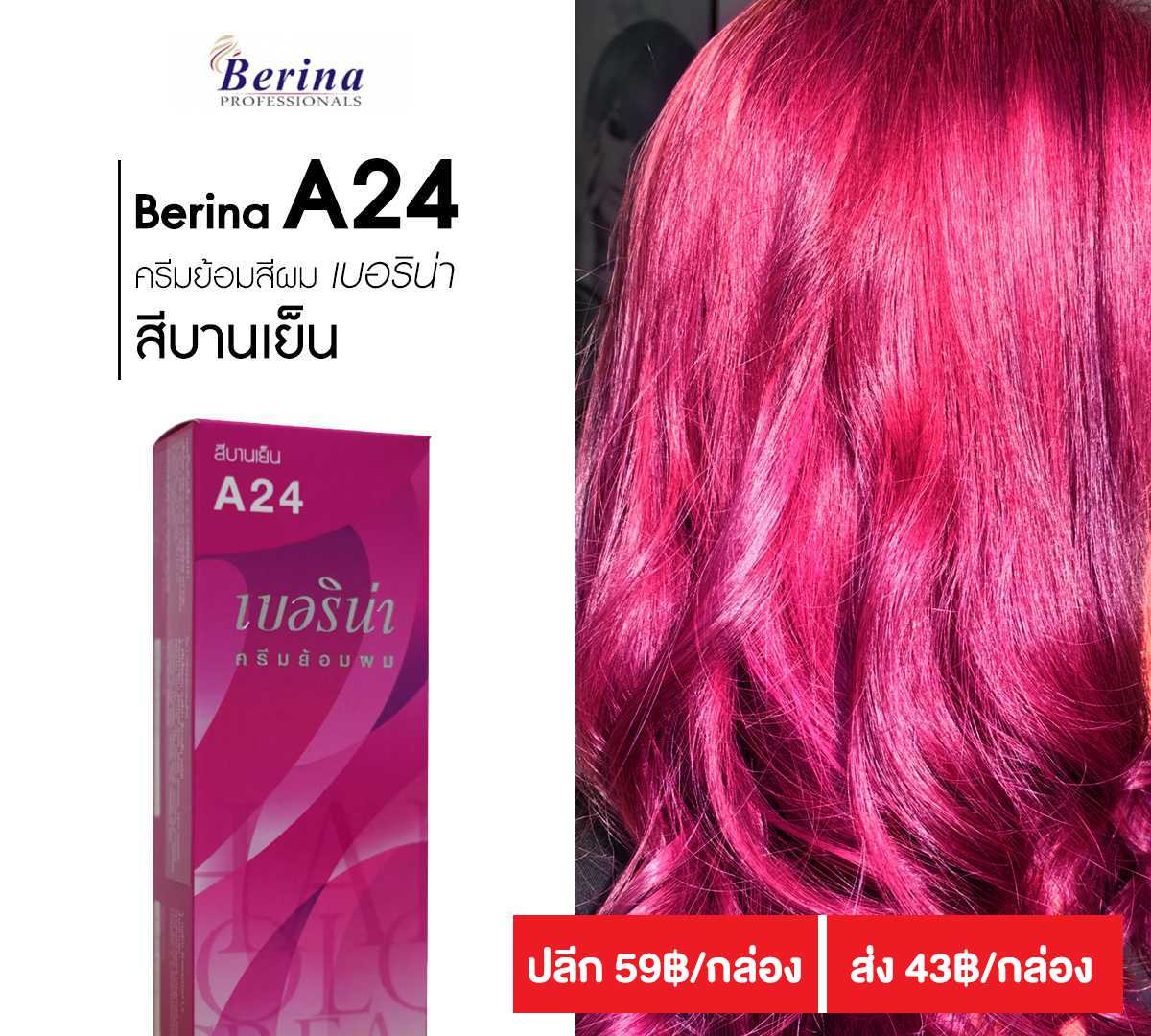 เบอริน่า ครีมย้อมผม A24 (ซื้อราคาส่งทักแชทมาเลยนะคะ)