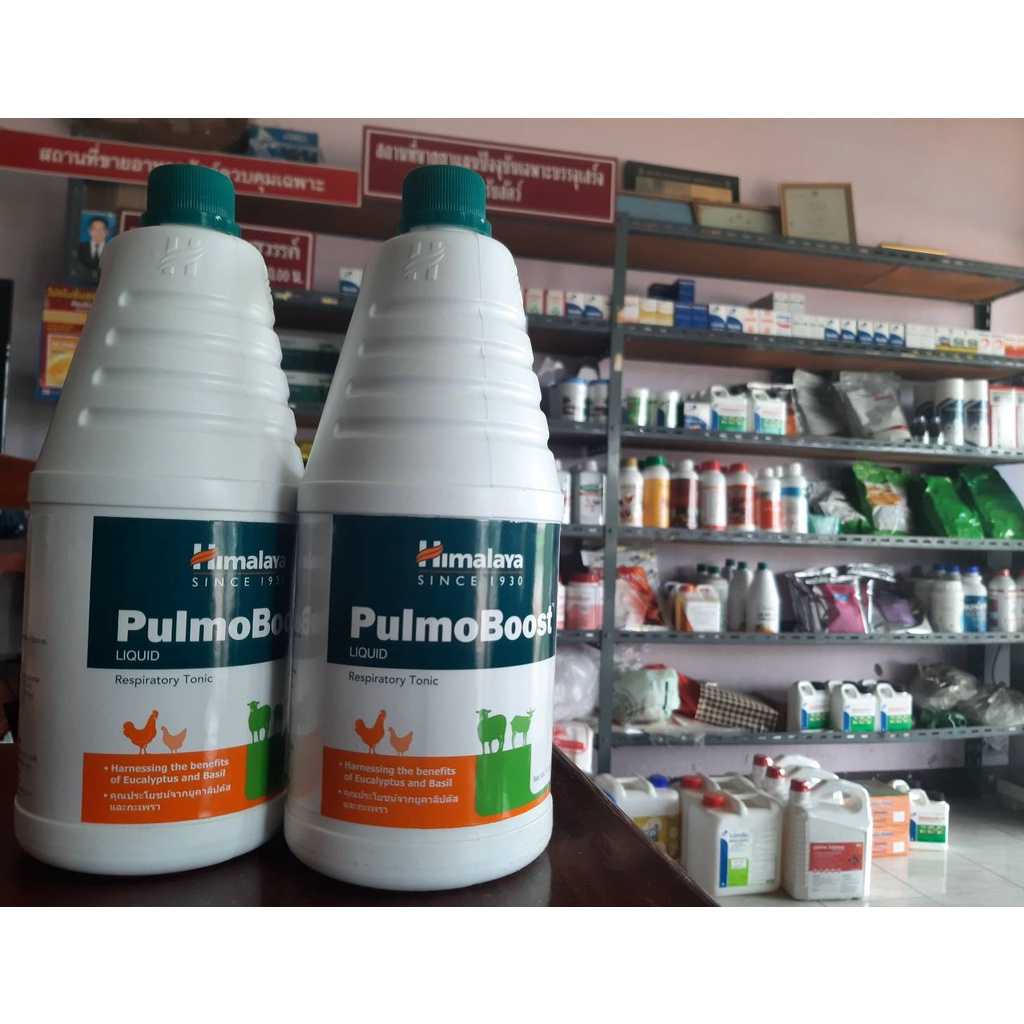 PulmoBoost Liquid บรรเทาอาการติดเชื้อในระบบทางเดินหายใจ ช่วยฟื้นฟูสุขภาพของระบบทางเดินหายใจ