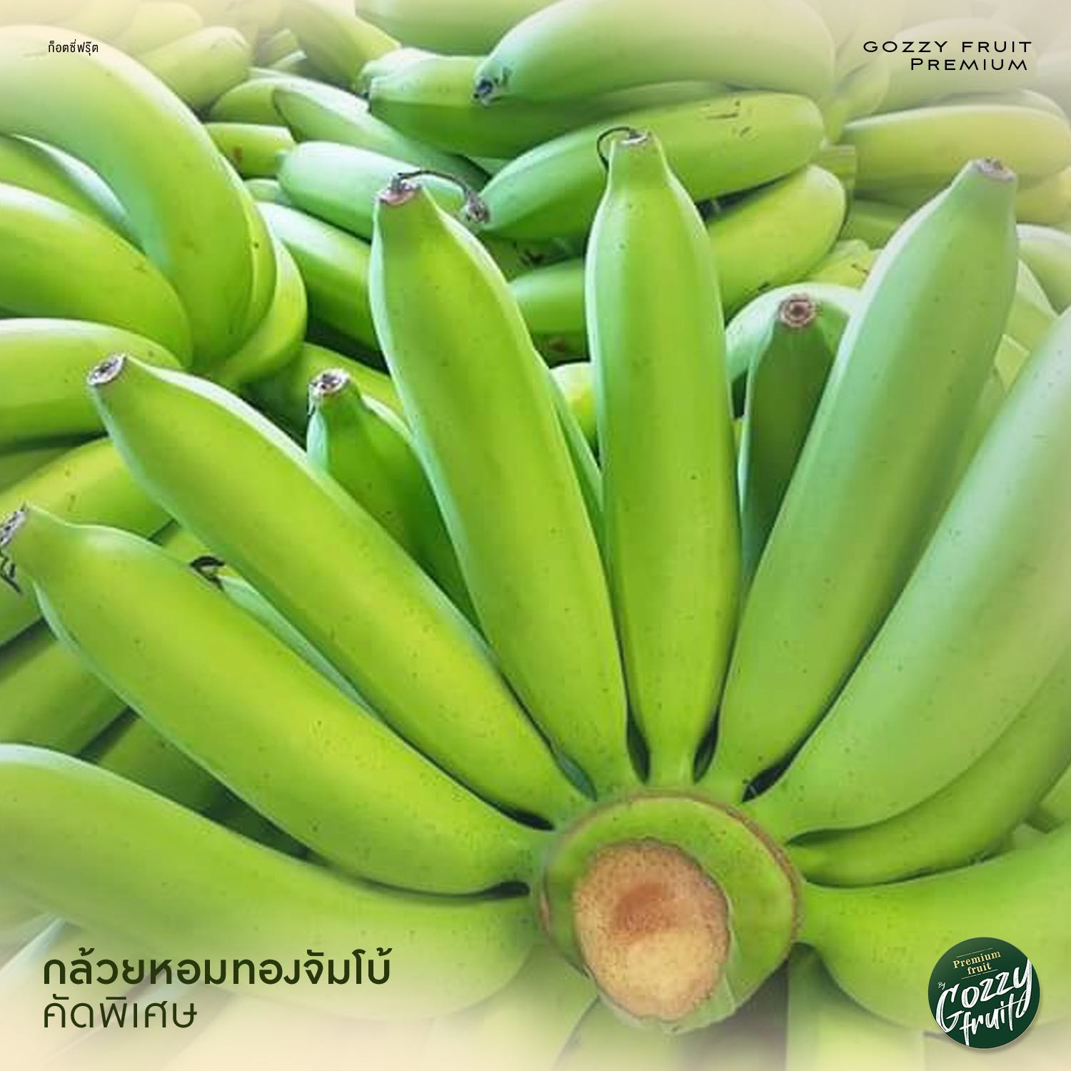 กล้วยหอมทองจัมโบ้ ยอดนิยม