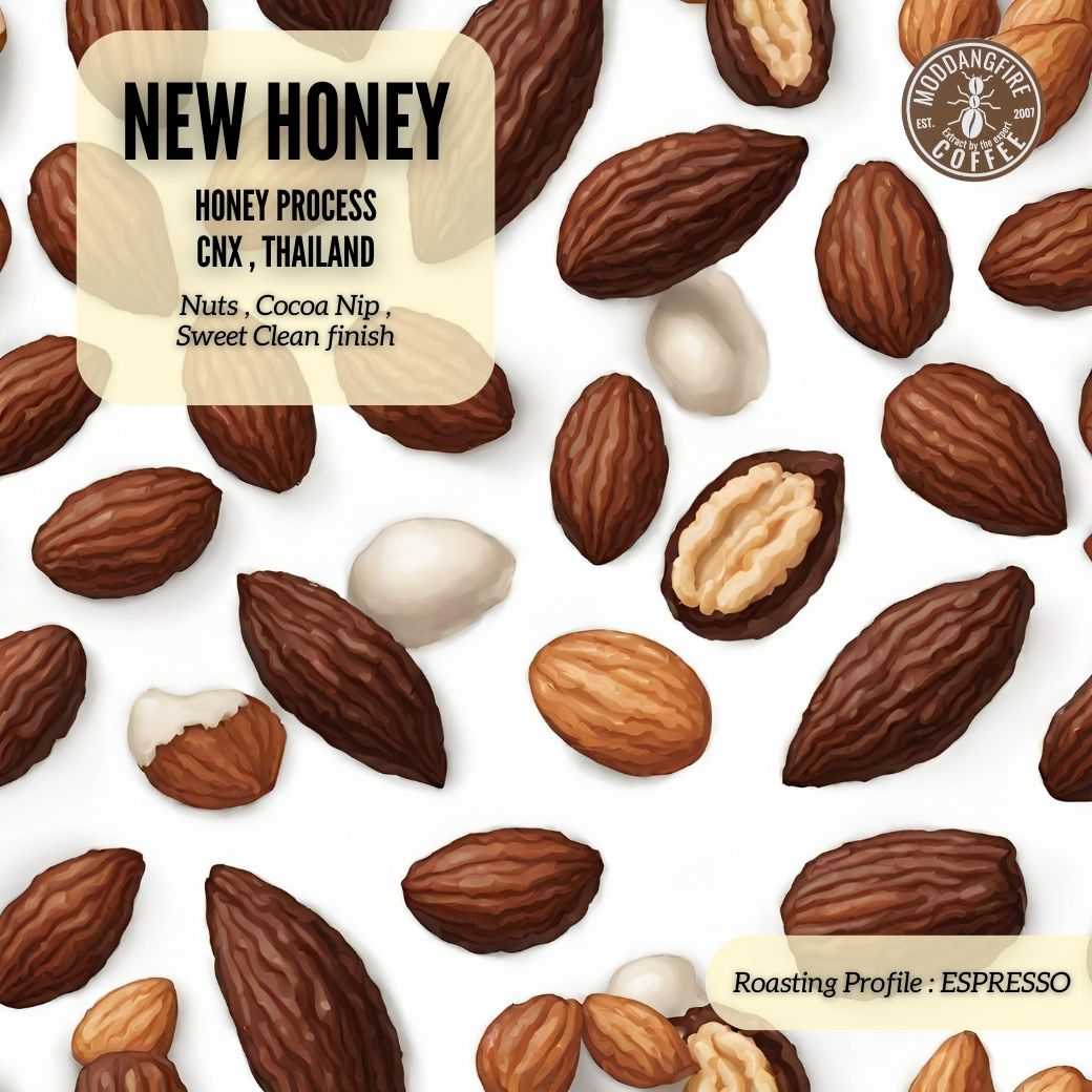 New Honey BLEND [คั่วกลาง]  - [500g]