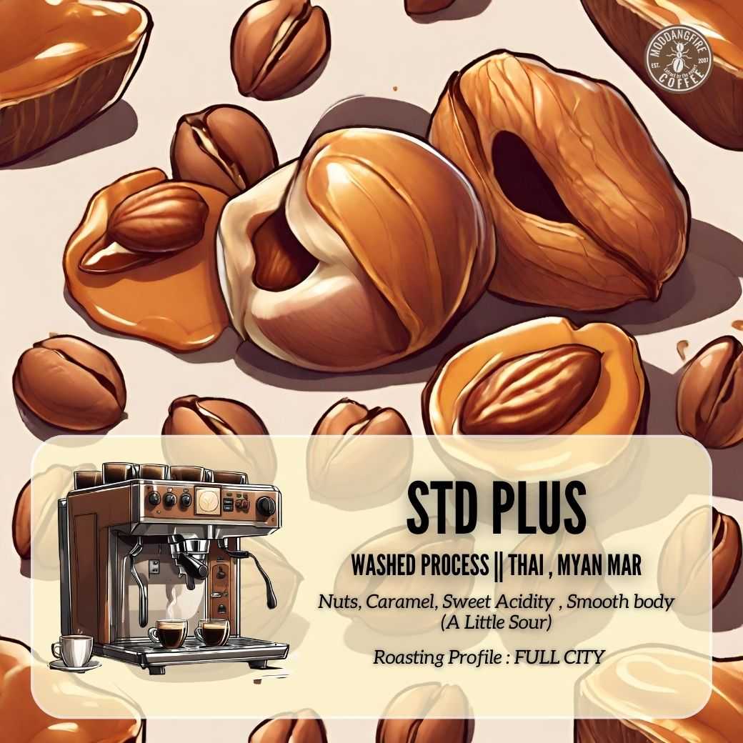 STD PLUS [อราบิก้า100% คั่วกลาง] - [500g]