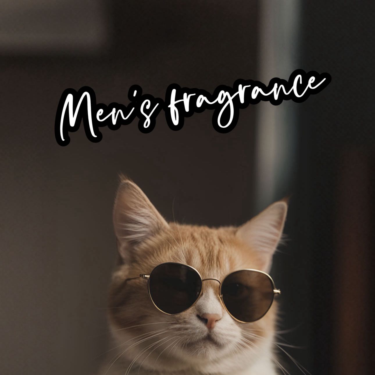An Image