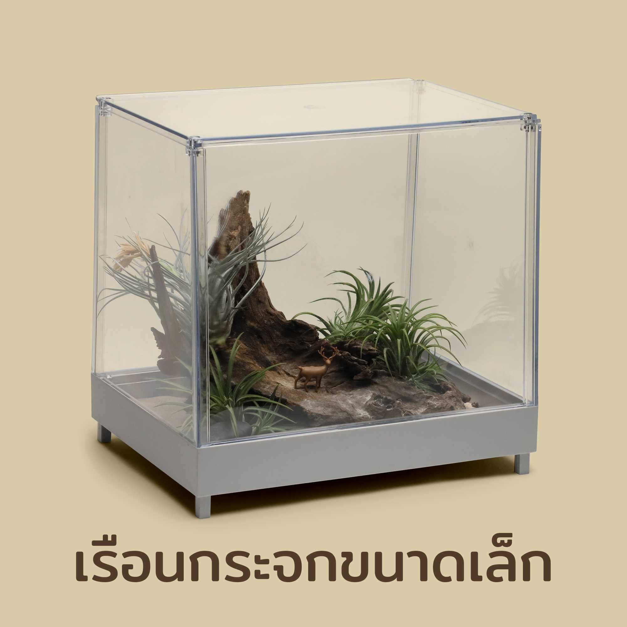 Mini Greenhouse  เรือนกระจกปลูกต้นไม้ & ตู้ใส่ของอเนกประสงค์ ดีไซน์ Qualy (ควอลี่)