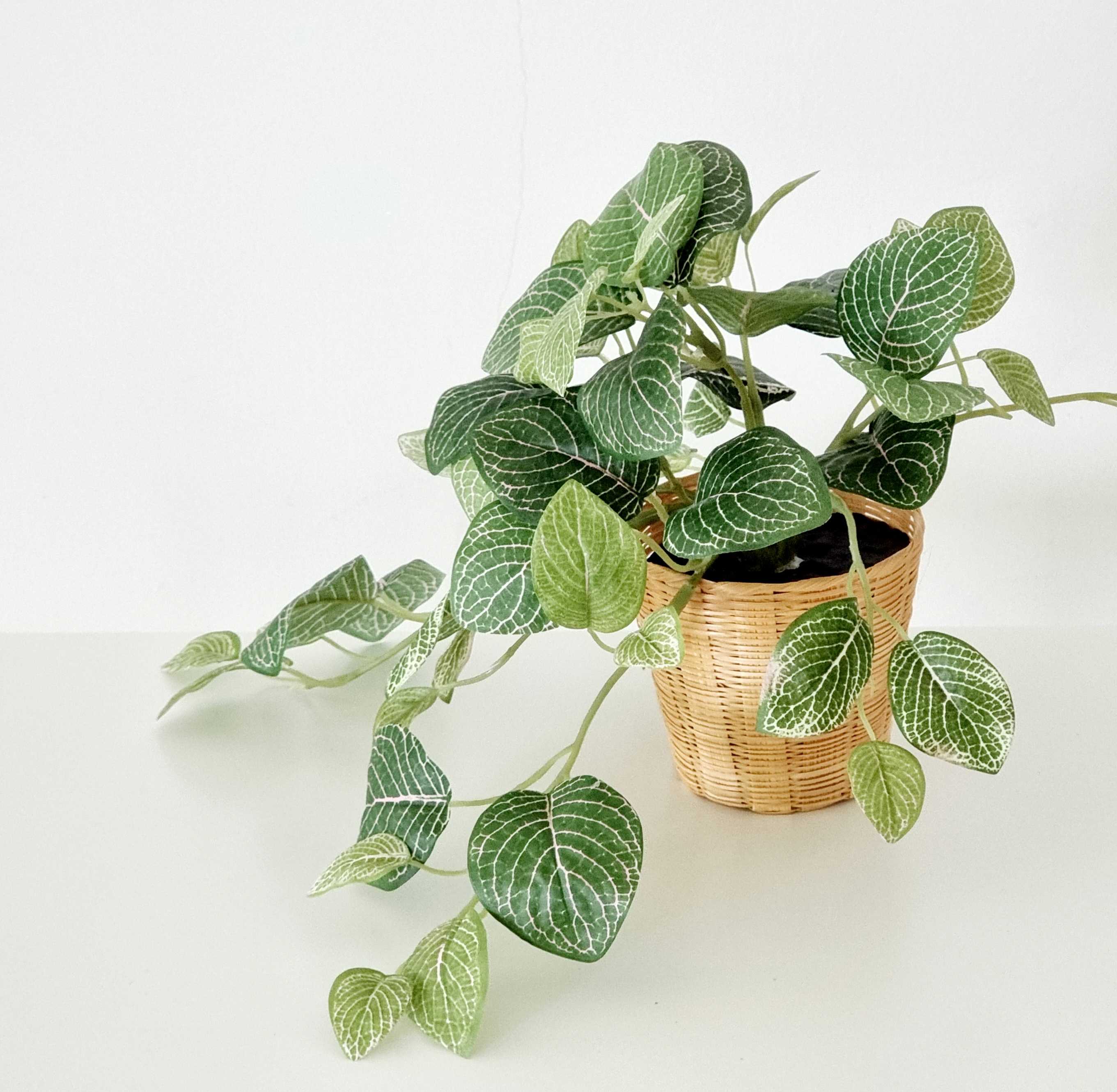 Woven Bamboo Pot with artificial plant: ต้นเดปพร้อมกระถางไม้ไผ่สาน