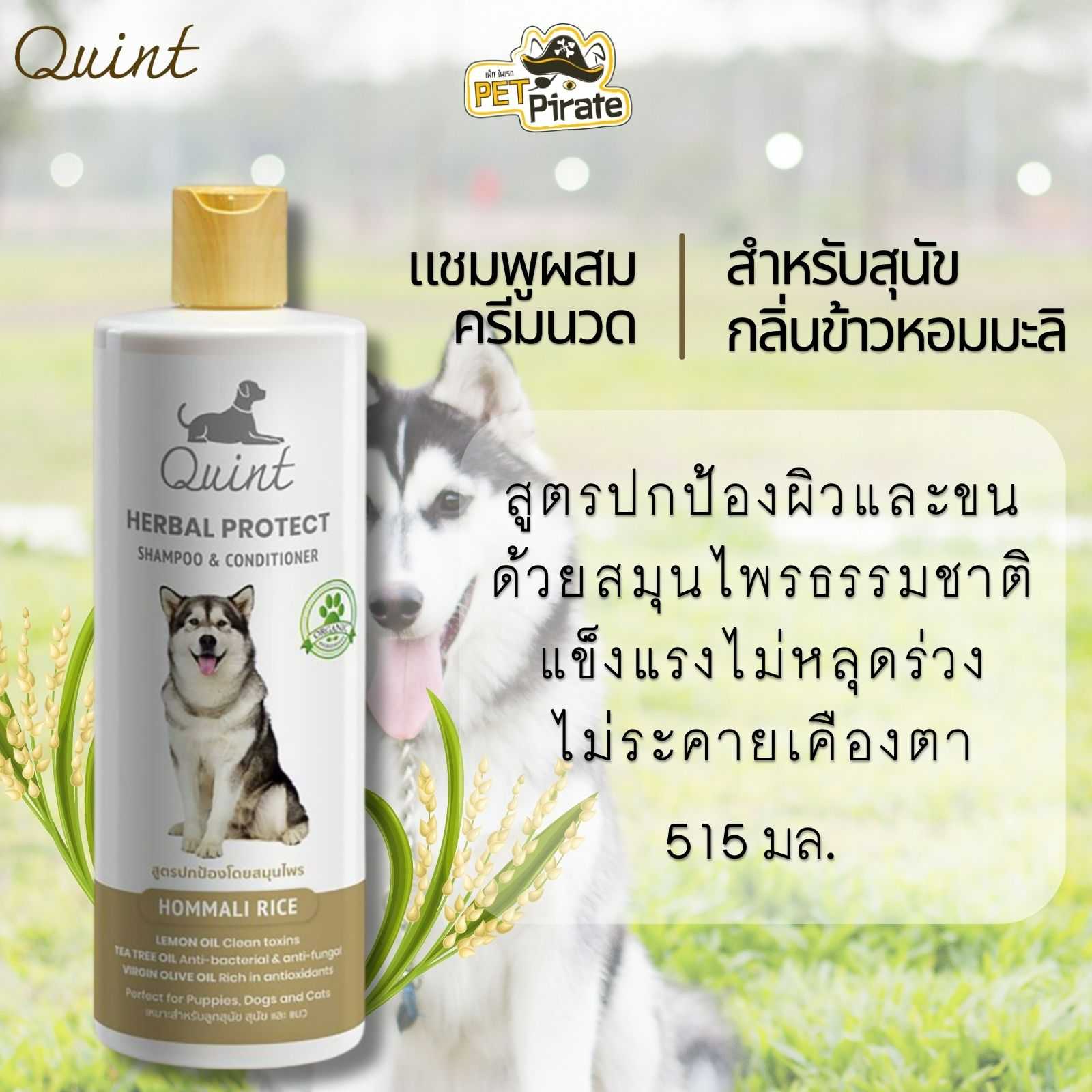 Quint ควินท์ แชมพูผสมครีมนวดสำหรับลูกหมา หมาผิวแพ้ง่ายและบอบบาง กลิ่นข้าวหอมมะลิ 515 มล.