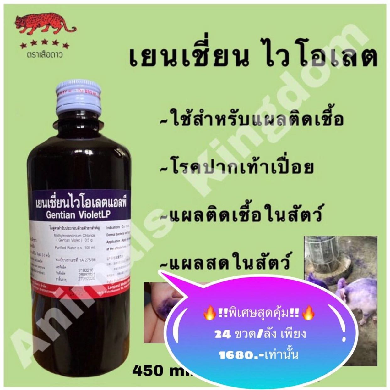 เยนเชี่ยน ไวโอเลต  ยาม่วง สีม่วง แสงหมึก 450ml. x 24 ขวด (1 ลัง)