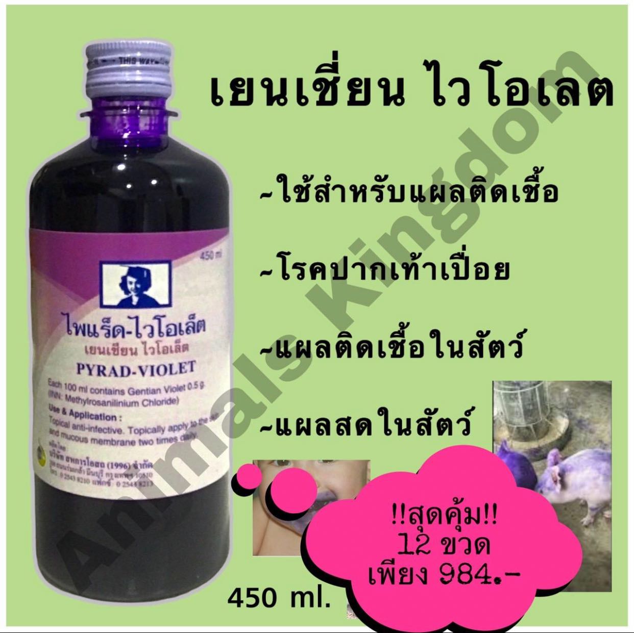 ไพเเร็ด-ไวโอเล็ต ยาม่วง สีม่วง แสงหมึก 450ml. x 12 ขวด (1 โหล)