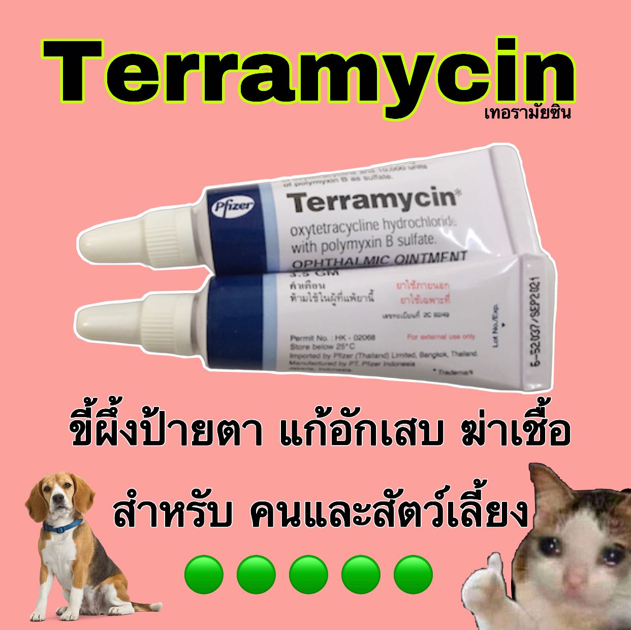 Terramycin   เทอร์รามัยซิน ขี้ผึ้งป้ายตา  แก้อักเสบ ฆ่าเชื้อ 3.5 กรัม(1 หลอด)