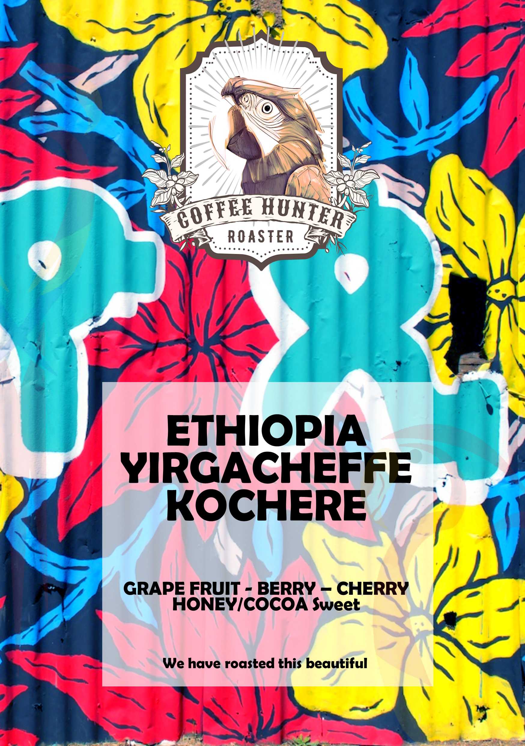 เมล็ด Ethiopia Yirgachefe Kochere (คั่วอ่อน-กลาง)