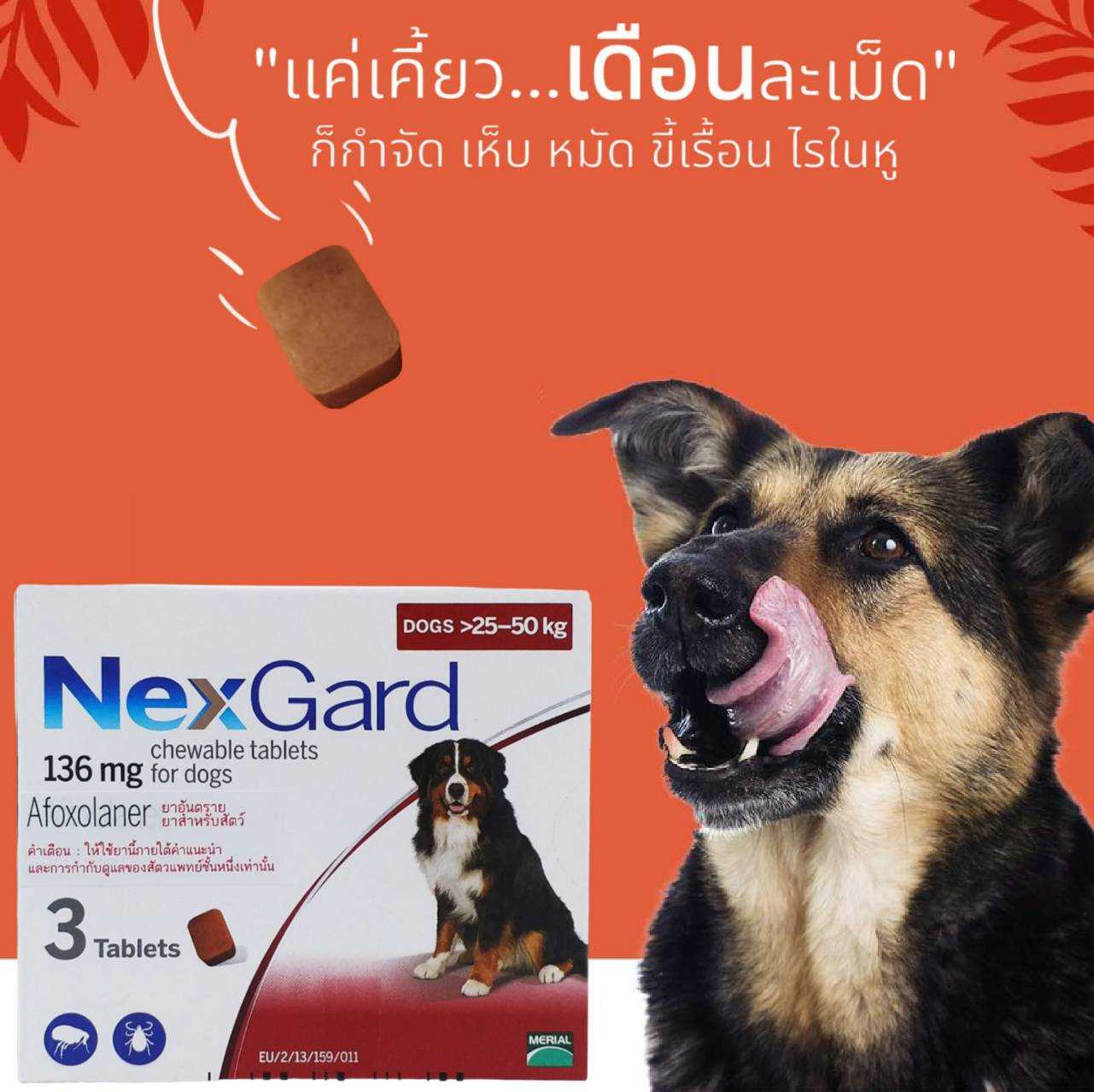 Nexgard ธรรมดา (ตัดแบ่งขายจากขนาด 25-50 กก.)