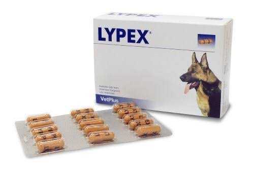 Lypex อาหารเสริมบำรุงตับอ่อน