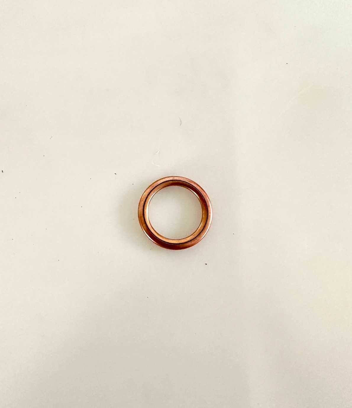 RS18-35 Ring f14/f19 For Primus Washer Extractor (PRI524000001 )-AA
