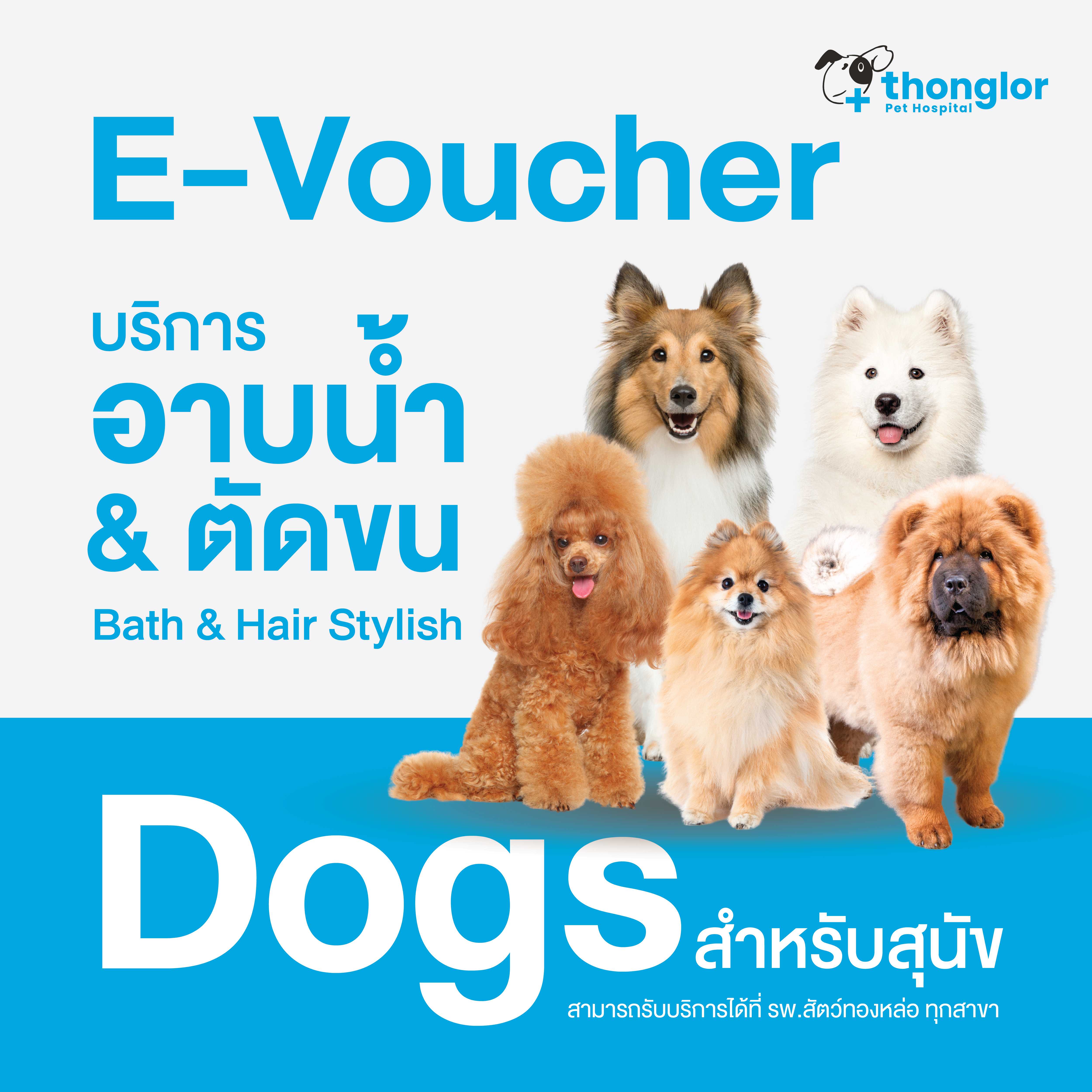 (E-Voucher)ThonglorPetCareShower+HairCut_Dogs-บริการอาบน้ำ ตัดขน ตัดเล็บ เช็ดหู แปรงขน สำหรับสุนัข