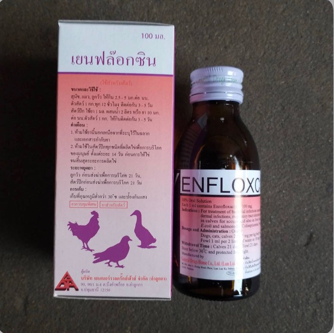 Yenfloxcin เย็นฟล็อกซิน 100 ml. ชนิดน้ำใช้กิน ติดเชื้อ ทางเดินหายใจ ปัสสาวะ อหิวาต์ หวัดหน้าบวม