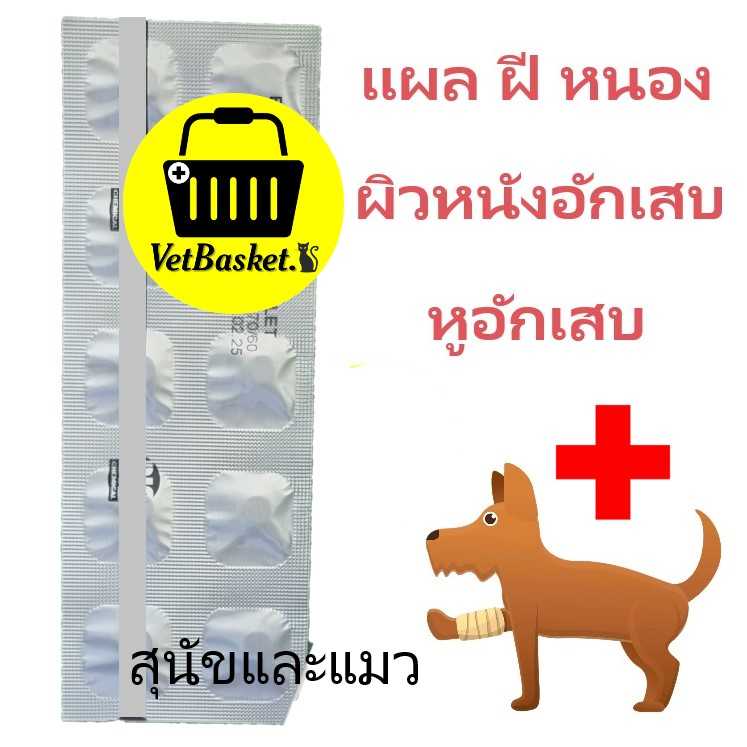 เอ็นโรG ยาฆ่าเชื้อแบคทีเรีย แผล ฝี หนอง ท้องเสีย สำหรับสุนัขและแมว (1 แผง / 10 เม็ด)