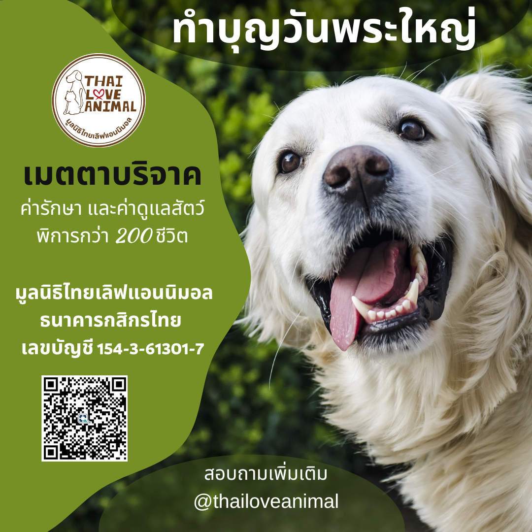 🪷ทำบุญวันพระใหญ่🪷 #ต่อชีวิตสัตว์ป่วยหลายร้อยชีวิต