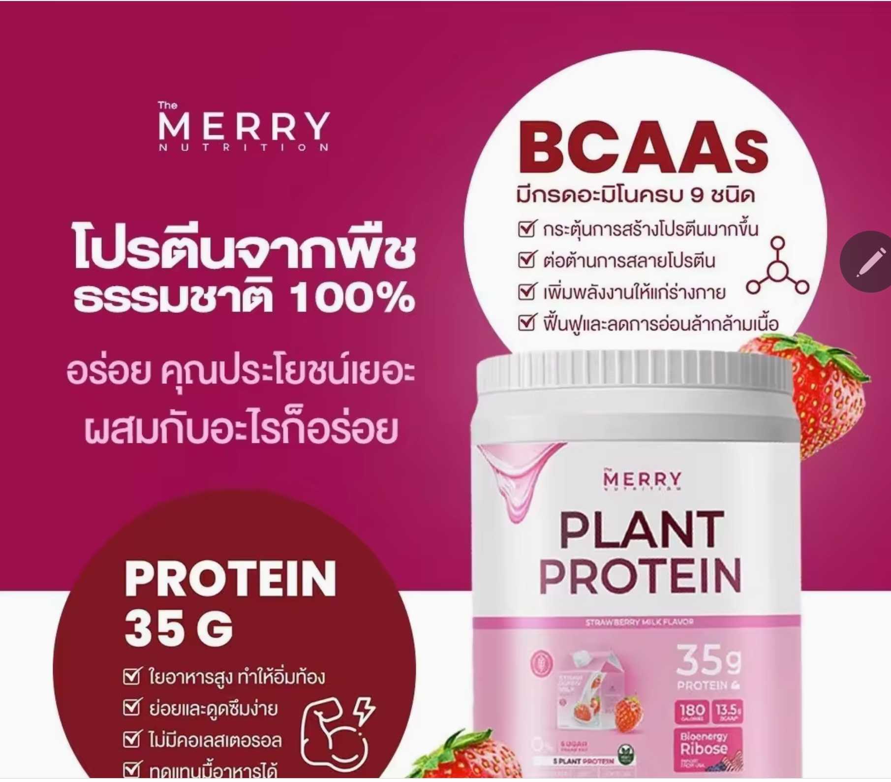 Merry Plant Protein โปรตีนพืช 5 ชนิด : รส Thai Tea Flavor 3 กระปุก 2.3lb. / 1,050g.  รายละเอียด  Pla