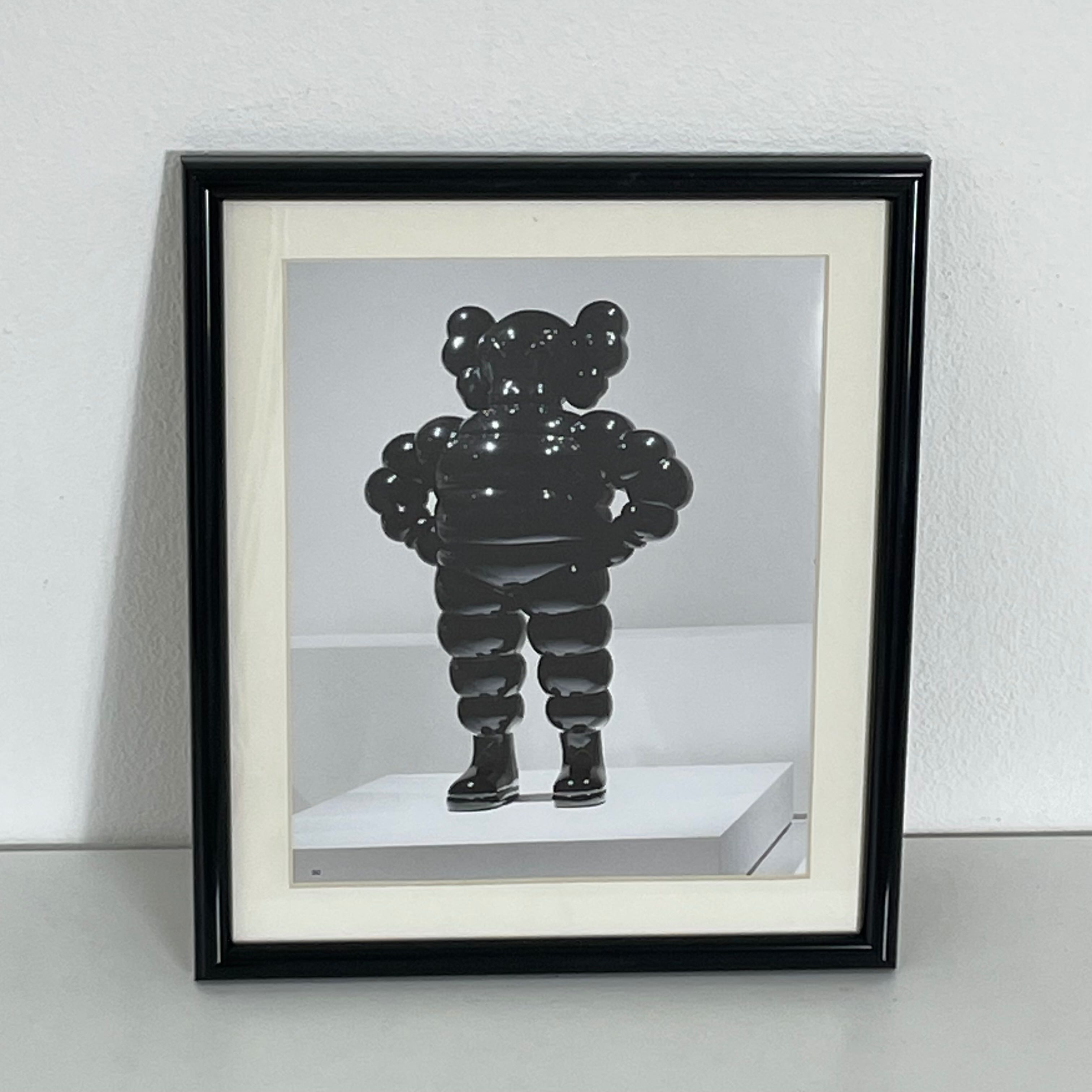 Kaws
