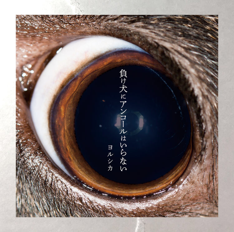 『PRE-ORDER』Yorushika / ヨルシカ 【ALBUM】2nd Mini Album「負け犬にアンコールはいらない」 (Normal Edition)