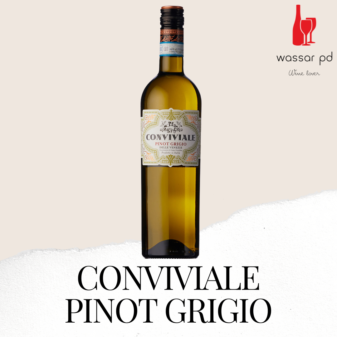 Conviviale - PINOT GRIGIO