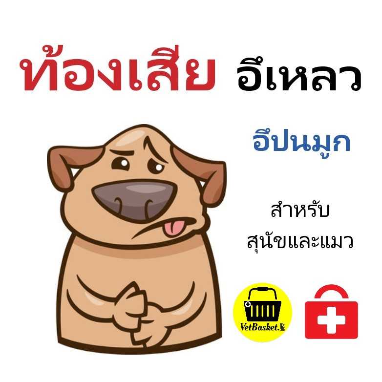 ยารักษาอาการท้องเสีย อึเหลวปนมูก สำหรับสุนัขและแมว