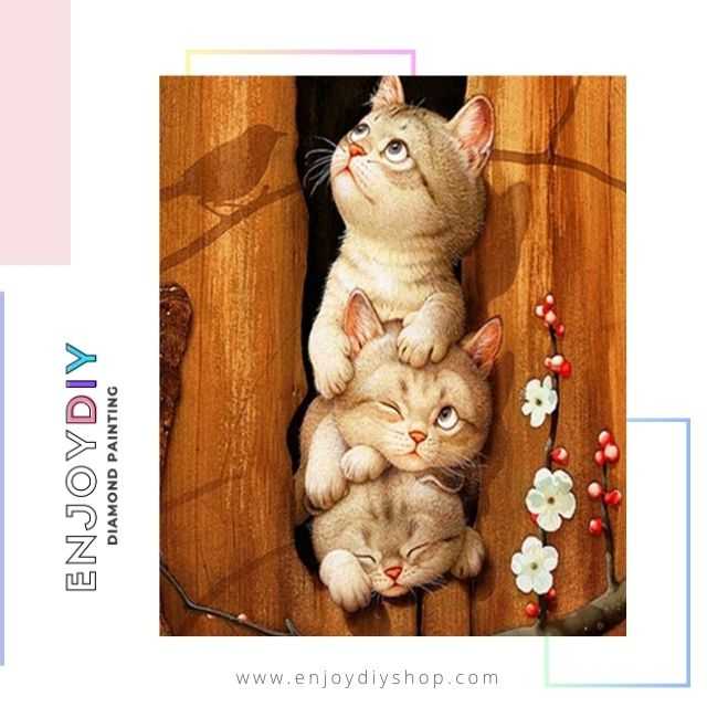 แมว3ตัวในซอกไม้