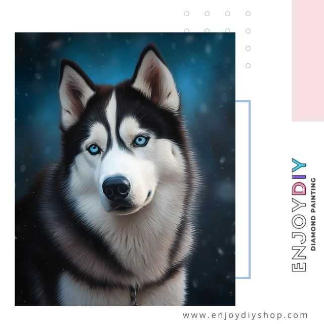 หมาไซ