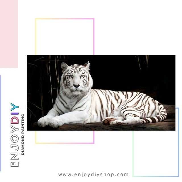 An Image