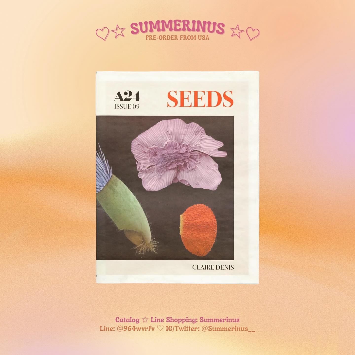 Seeds 🌞 Zine by Claire Denis