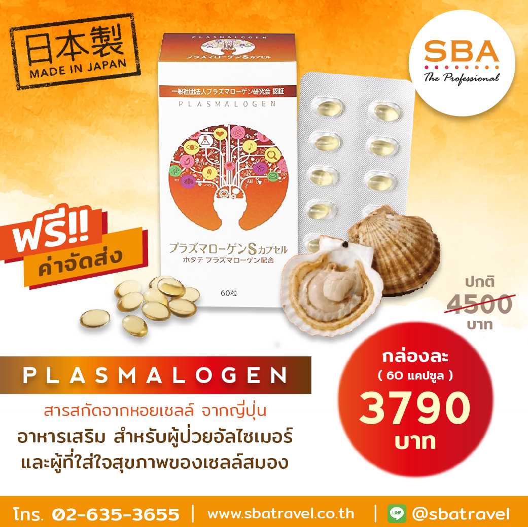 Plasmalogen S 60 Capsule Hotate สารสกัดจากหอยเชลล์