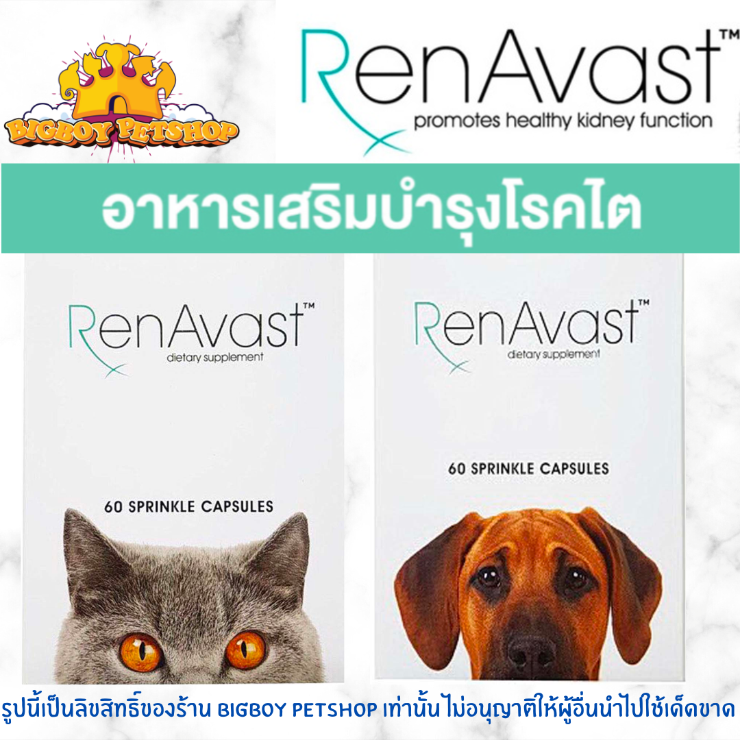 RenAvast [ของแท้] เรนอะวาสท์ อาหารเสริมบำรุงโรคไต สำหรับสุนัขและแมว