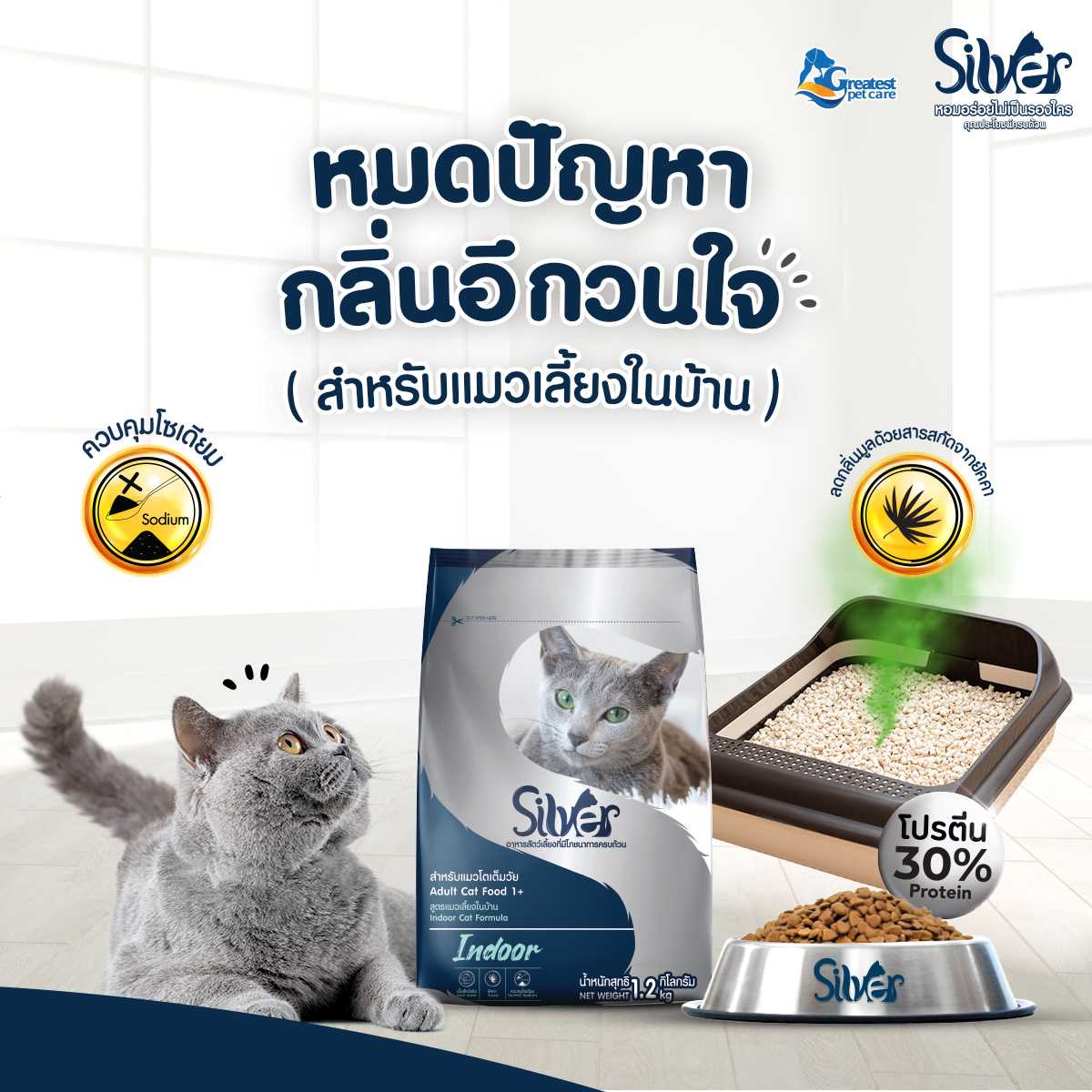 Flash Sale | Silver Indoor  1.2 KG