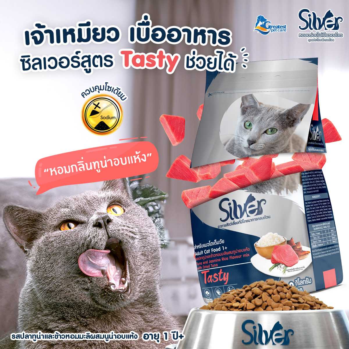 Flash Sale | Silver Tasty  1.2 KG