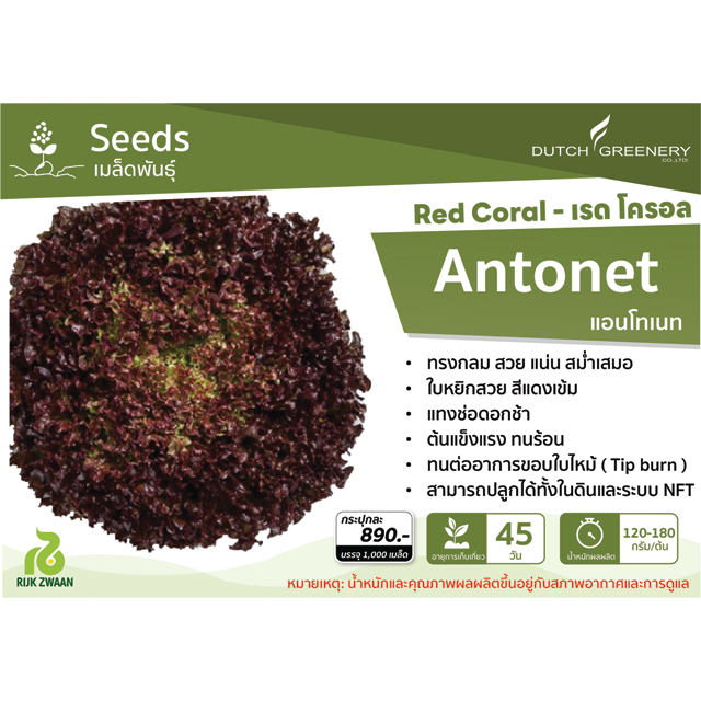 Red Coral - Antonet RZ