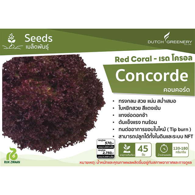 Red Coral - Concorde RZ