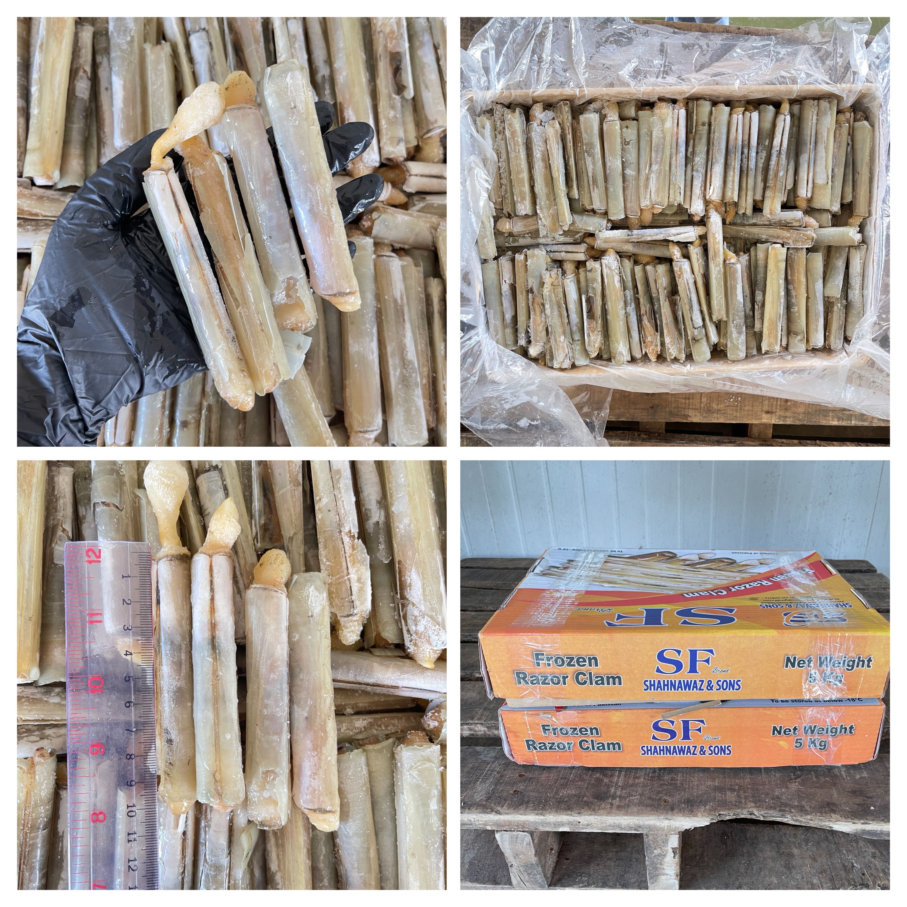 2720-003  หอยหลอด10/12 (2x5กก.)