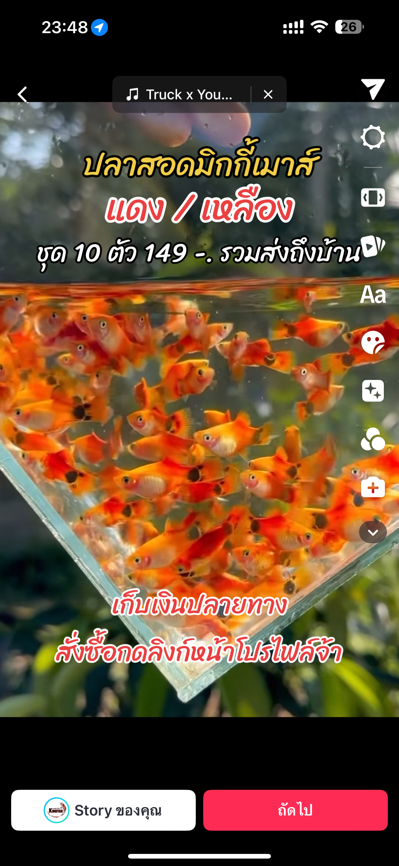 ปลาสอดมิกกี้เมาส์ เลือกชุด สีได้ ชุด 10 ตัว พร้อมส่ง