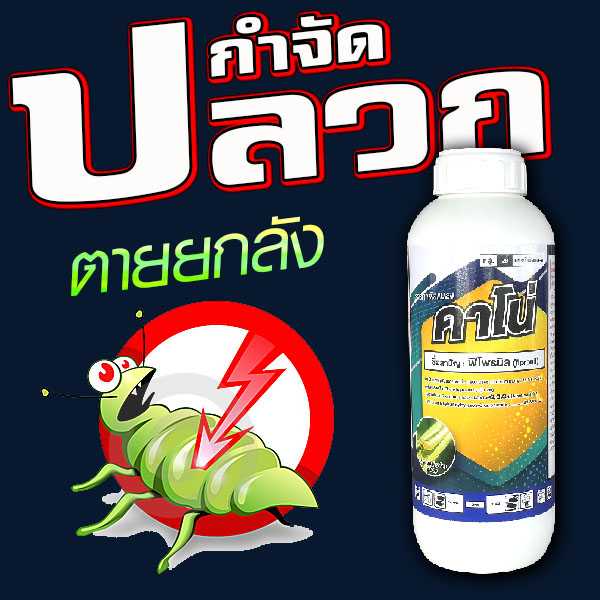 คาโน่  ฟิโพรนิล กำจัดปลวก หลอกให้กินหรือสัมผัส ตายยกลัง  หนอนห่อใบข้าว เพลี้ยไฟ  หนอนเจาะ