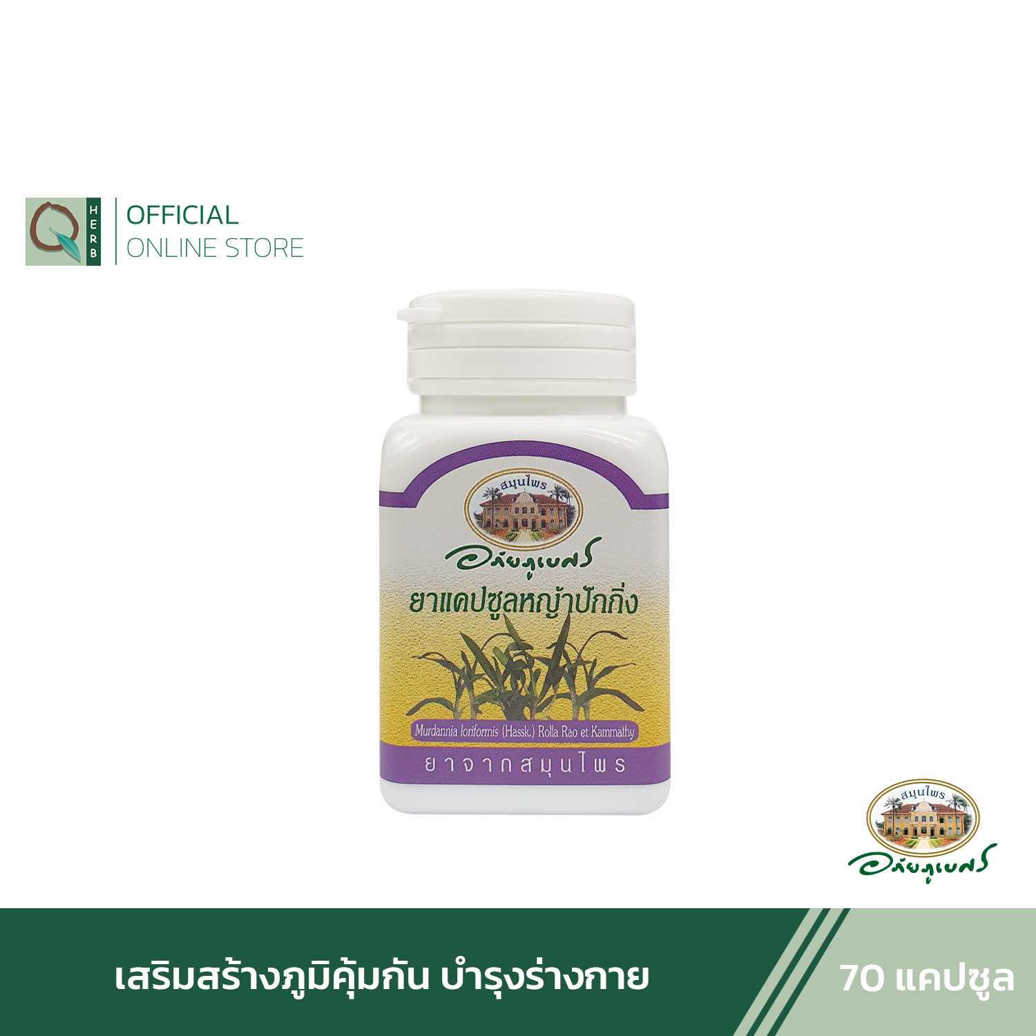 อภัยภูเบศร หญ้าปักกิ่ง 70 แคปซูล