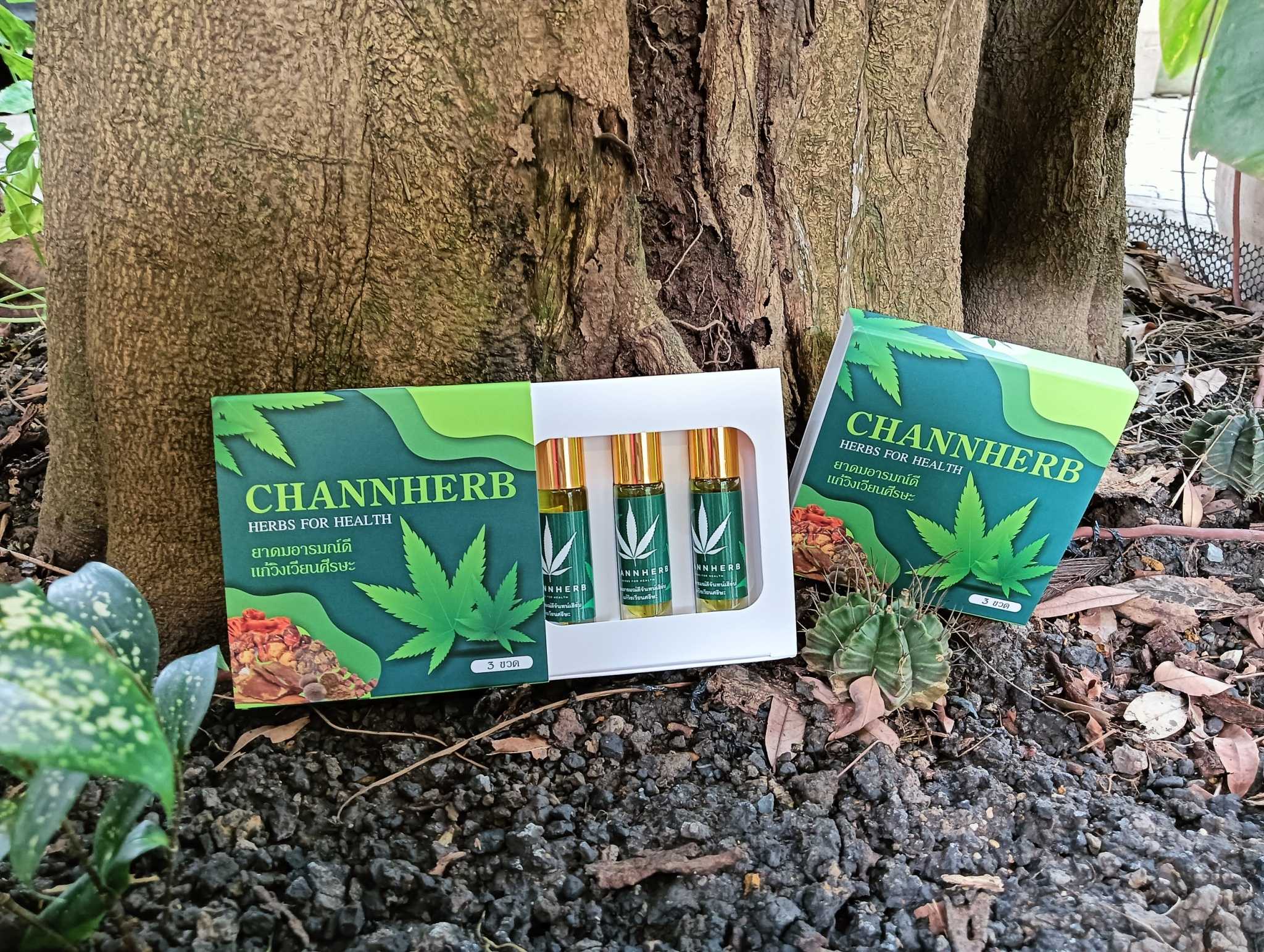 ยาดมอารมณ์ดี ขนาดแพ็ค 3 ขวด