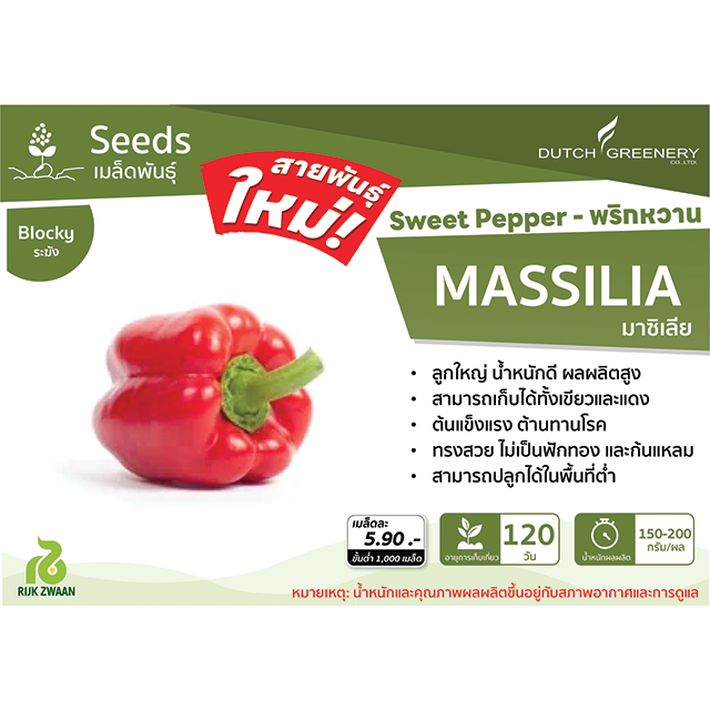 Sweet Pepper - Massilia RZ F1