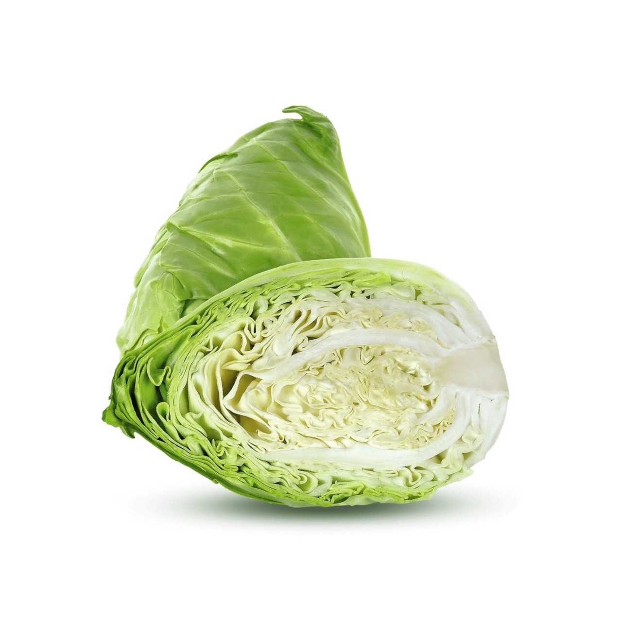 Heart Cabbage (กะหล่ำปลีหัวใจ ไซส์ใหญ่) 150 บาท/กก.