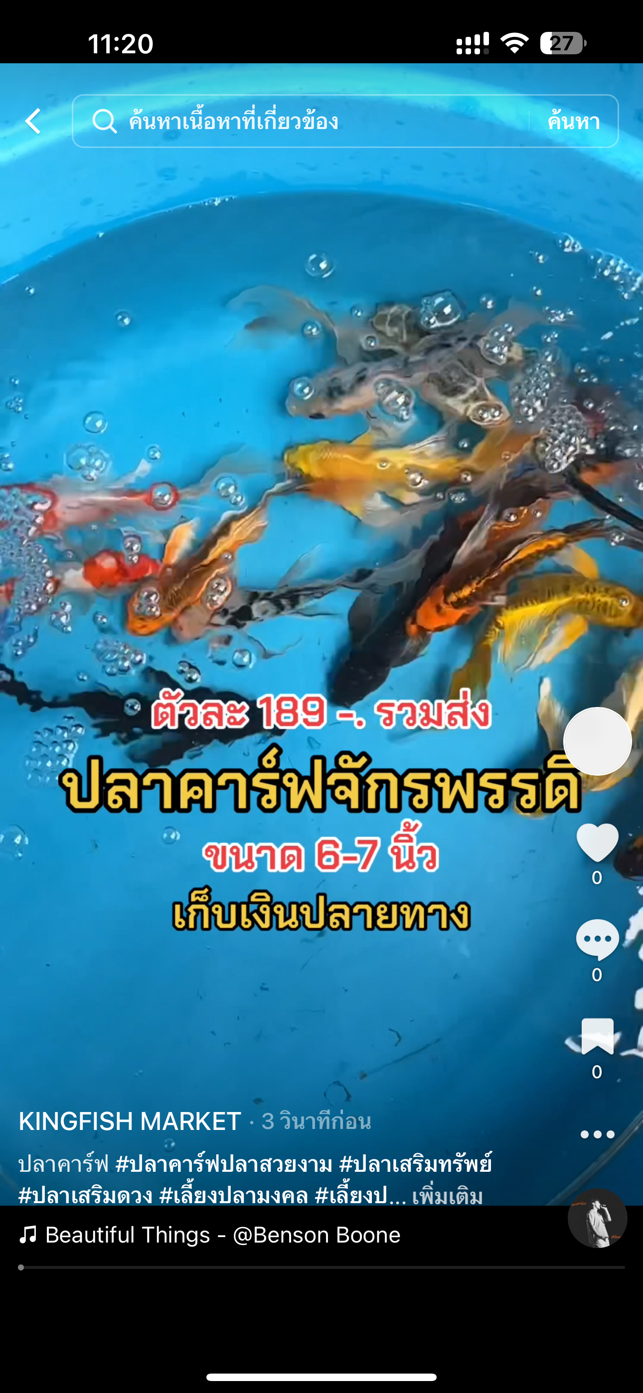 ปลาคาร์ฟจักพรรดิ 6-7 นิ้ว สีสันสวยงาม 189 รวมส่ง